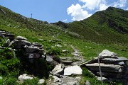 59 In vista del Passo di Tartano (2108 m)